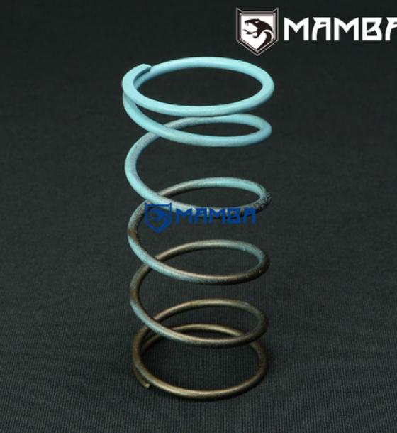 TiAL 35/38/40/41/44/46/60mm External Wastegate Spring Small