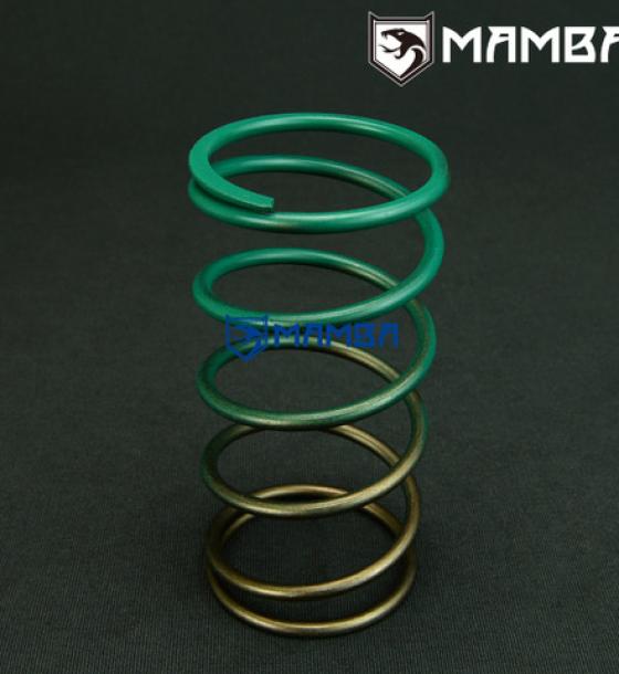 TiAL 35/38/40/41/44/46/60mm External Wastegate Spring Large