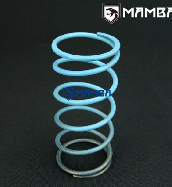 TiAL 35/38/40/41/44/46/60mm External Wastegate Spring Large