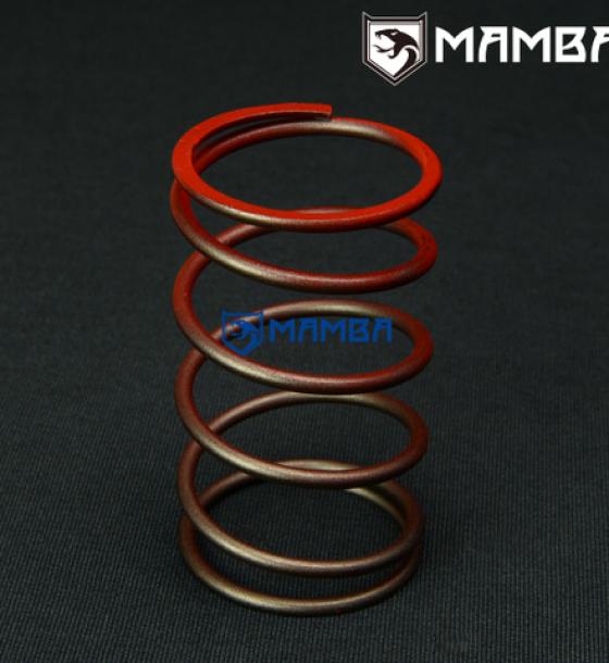 TiAL 38/40/41mm F38 F40 F41 External Wastegate Spring Small